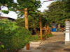 Pergola